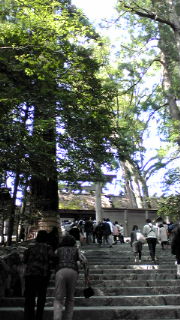 20100430152158.jpg