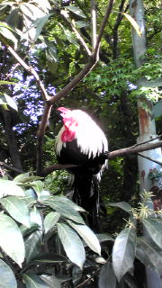 20100430160346.jpg