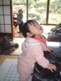 照明に夢中?