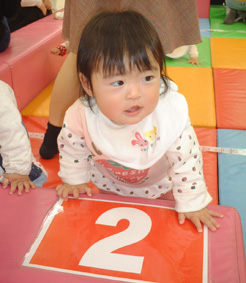 ハイハイレース
