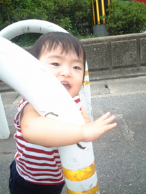 お散歩