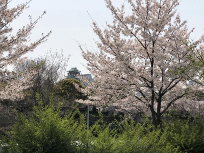 rps20180406_124345.jpg