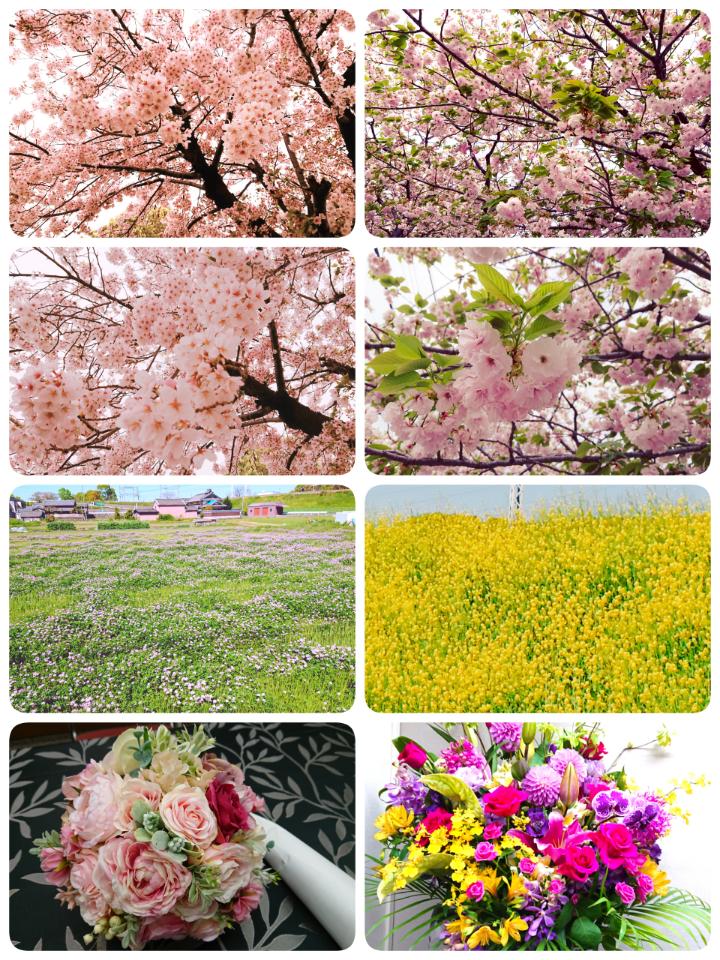 rps20190521_004148.jpg