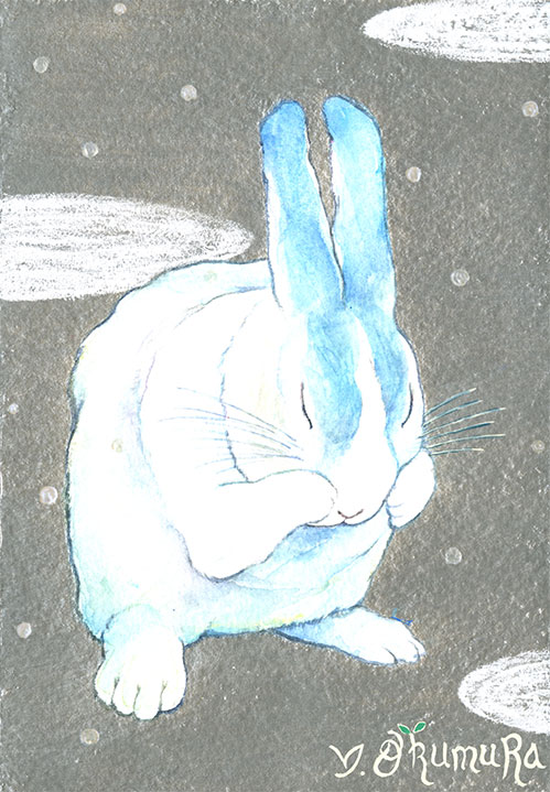 Lapin-s