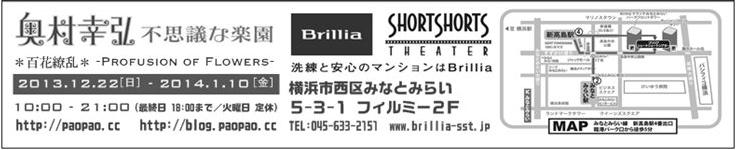 Brillia_2013-14_B