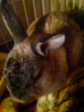 20061126_304053.jpg