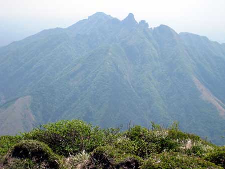 高岳 根子岳を見る