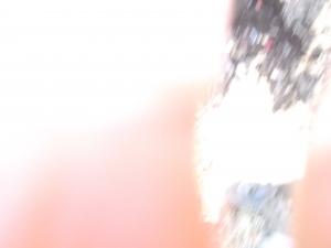 ひかり