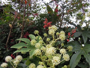 花やつで