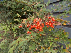 DSCN4836.JPG