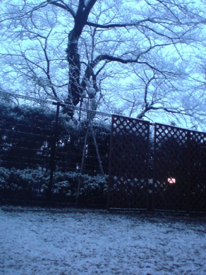 2010年2月18日
