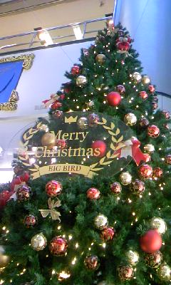 091206_1434~01.jpg