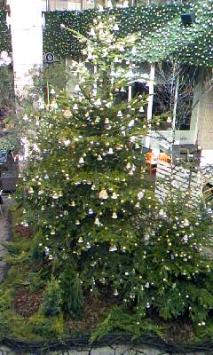 091206_1116~01.jpg