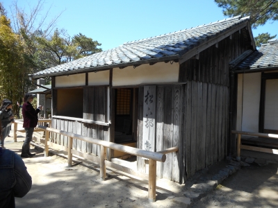 画像 331.jpg