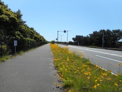 画像 006.jpg