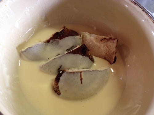 生椎茸