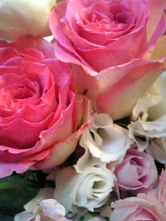 Image819.jpg