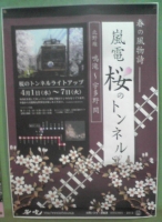 桜のトンネル