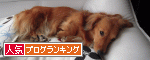 Popular blog ranking