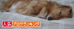 Popular blog ranking