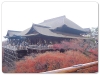 清水寺