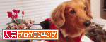 お腹空いたの〜