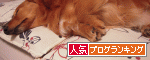 お休みなさ〜い