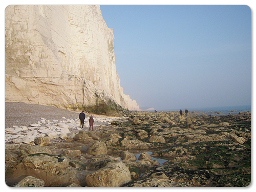 Seven Sisters Country Park