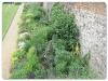 Eltham Palace and Gardens