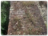Eltham Palace and Gardens
