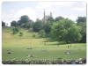 Royal Greenwich Observatory