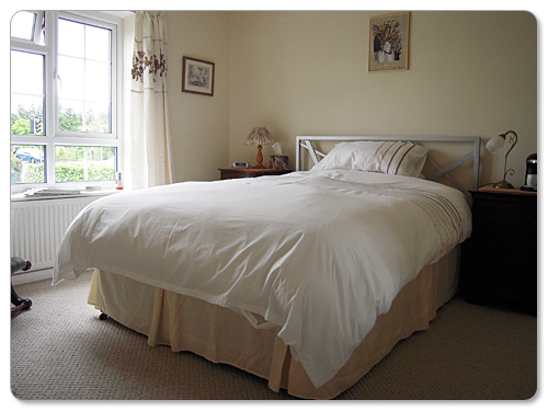 Palm Tree Cottage B&B