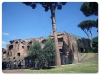 Palatino