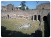 Palatino