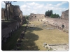 Palatino