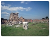 Palatino