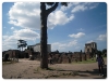 Palatino