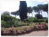 Palatino