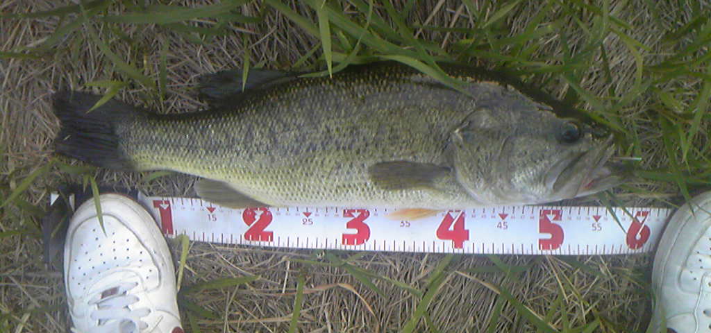 091004_173131.jpg