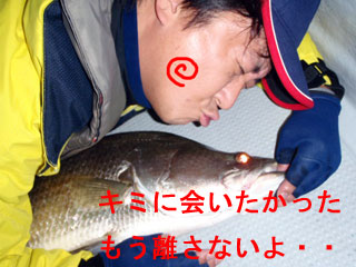 会いたかった