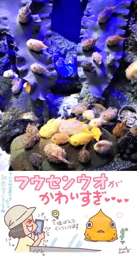 かわゆすぎる!!