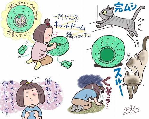 猫ってさ…