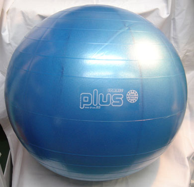 GYMNIC Plus Balls 65cm