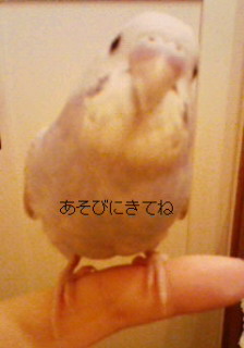 200707090751000.jpg
