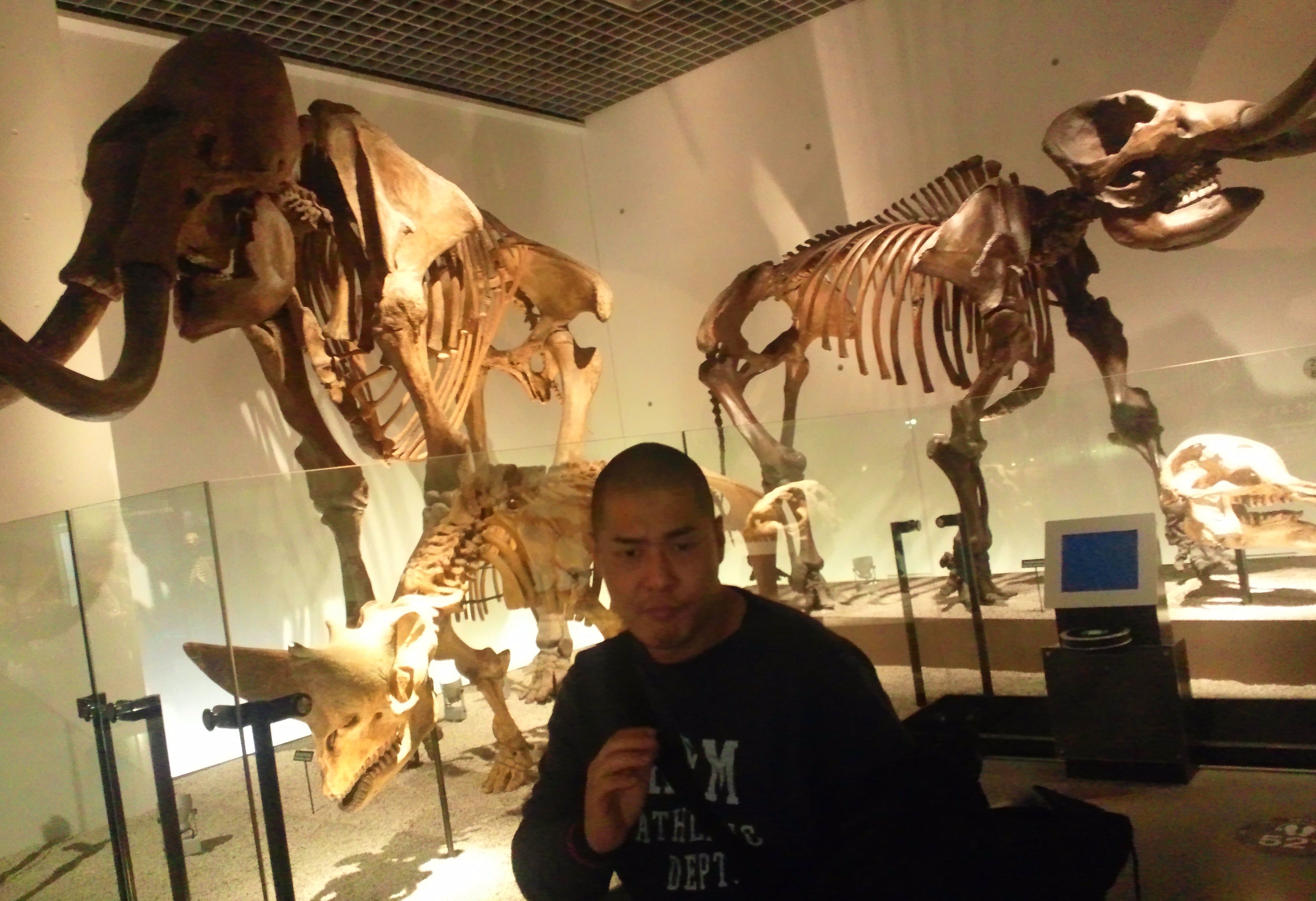 すっかり 松本ハウスの不思議な冒険