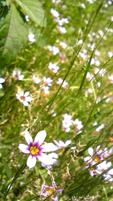 DVC00332.jpg