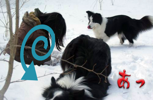 この時すでに、私もはまってます(^.^;)