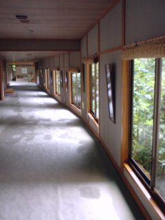 080826_1036~01.jpg