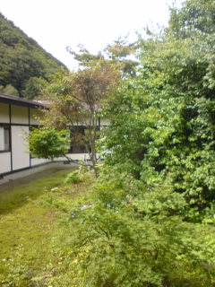 080826_1125~01.jpg