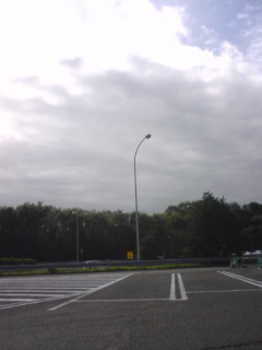 080826_1444~01.jpg